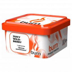 Табак Burn - Juicy Wildberry (Дикая Земляника, 200 грамм)