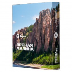Табак Сарма - Лесная Малина (40 грамм)